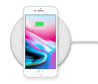 Ursprüngliches iPhone X Handy-Kamera-Schürhaken-Analysator-Schwarzes/Gold